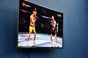 В ВГСПУ прошел «Кубок первокурсников» по UFC-3