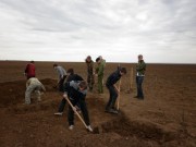 В процессе работы