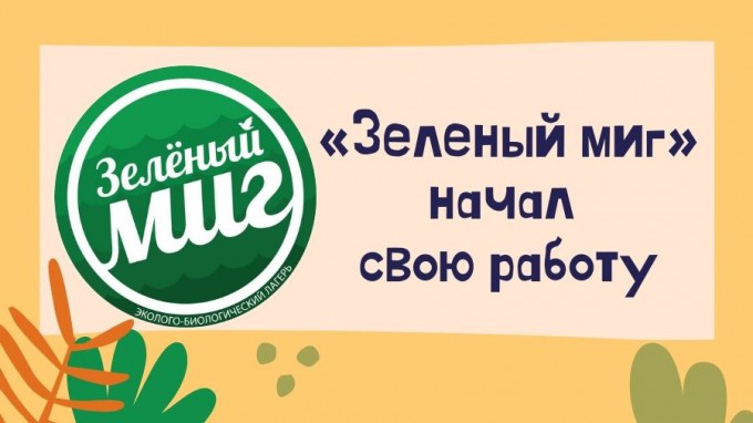 «Зеленый миг» начал свою работу